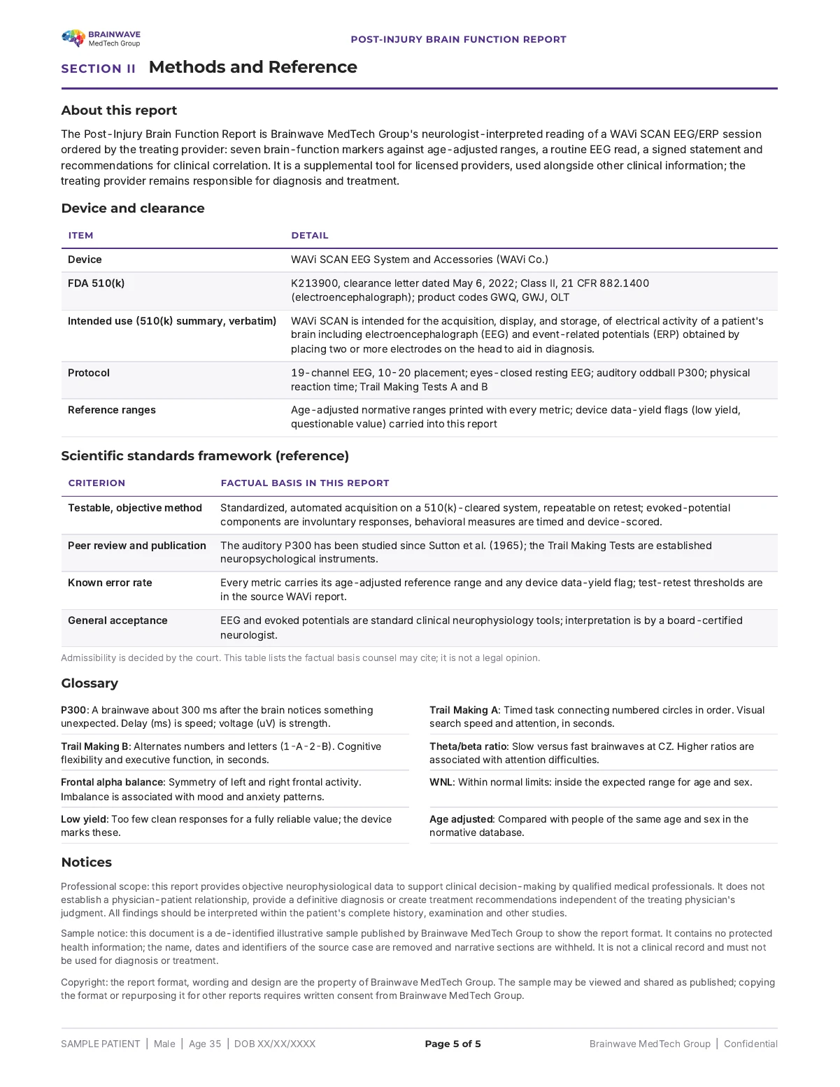 BMTG Post-Injury Brain Function Report, page 5 of 5, de-identified
